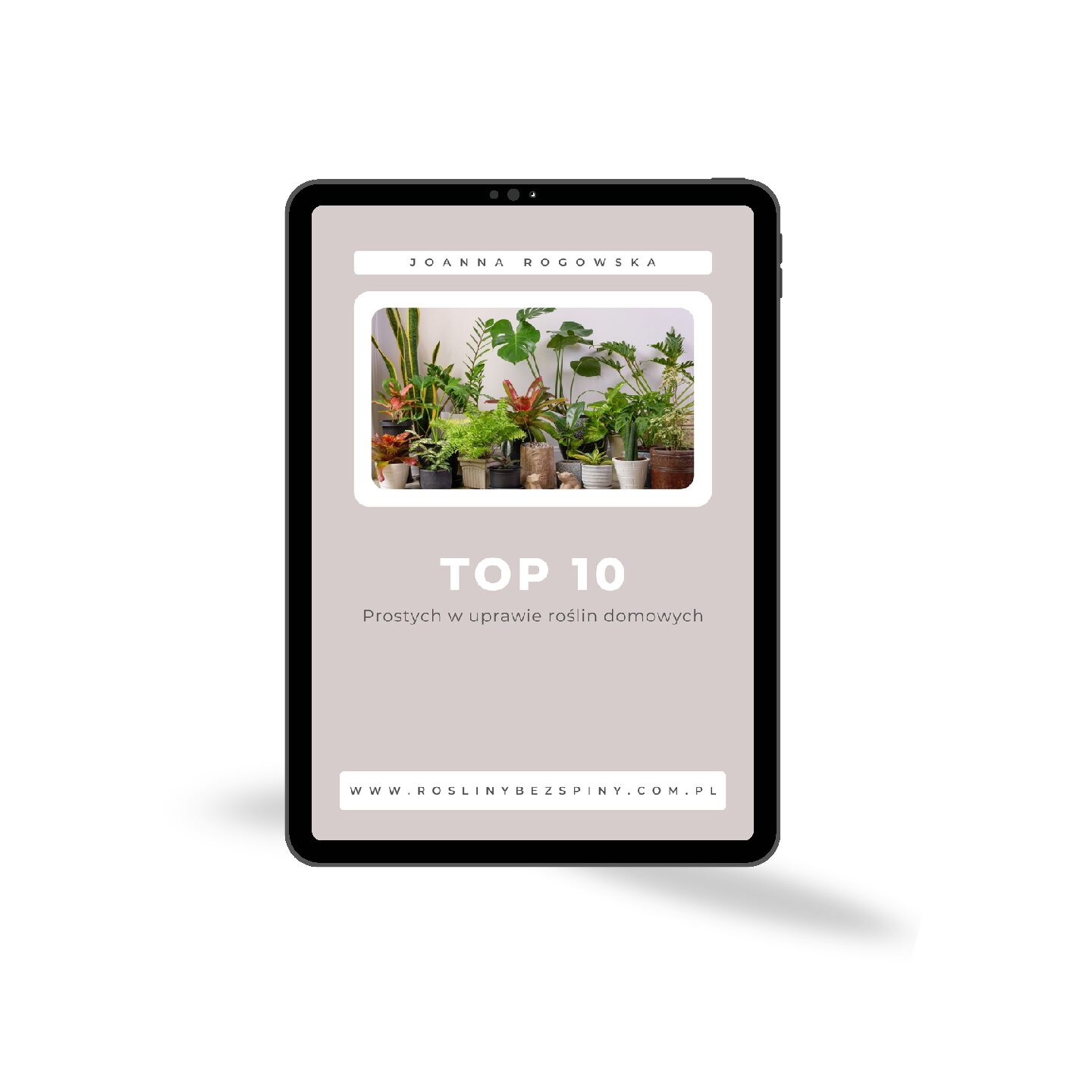 E-book: TOP 10 Prostych w uprawie roślin domowych