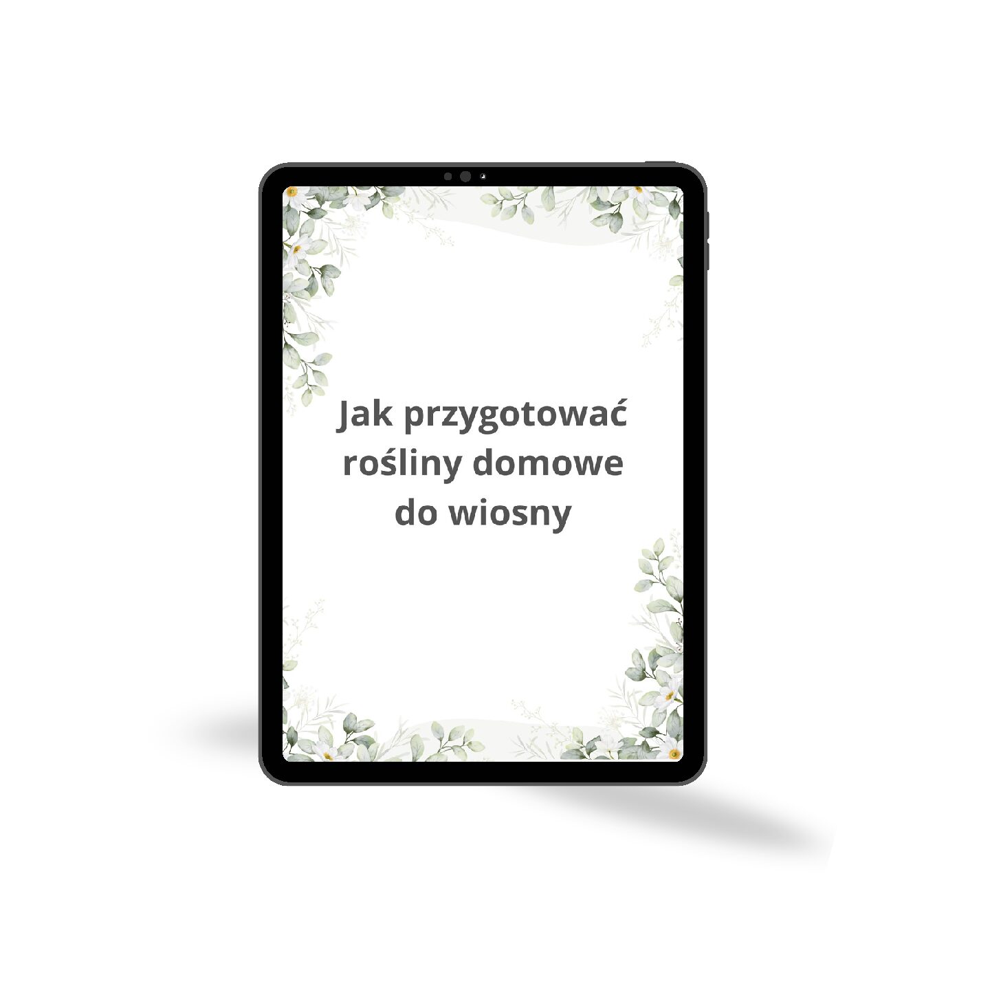 E-book: Przygotowanie roślin domowych do wiosny